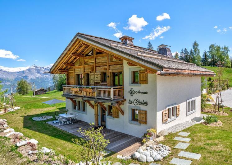 Image of Chalet Aster