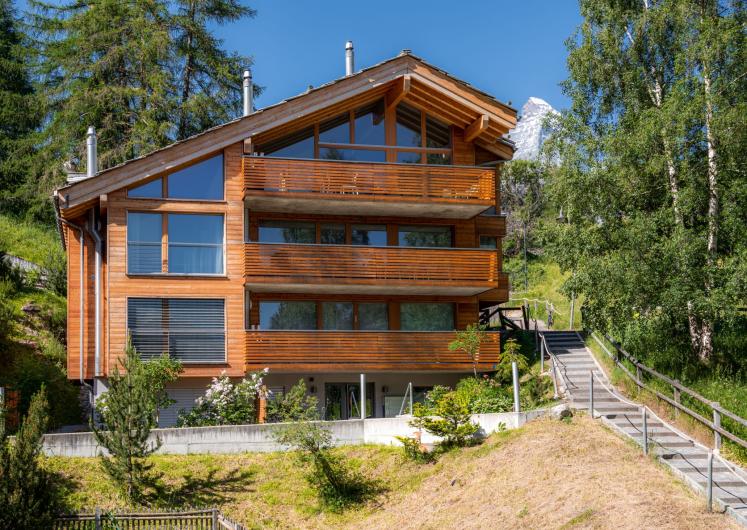 Image of Parrot Penthouse
