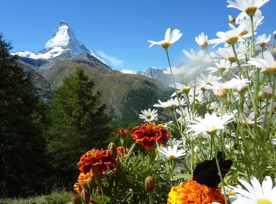 Matterhorn in Zermatt, hike the Matterhorn in the summer