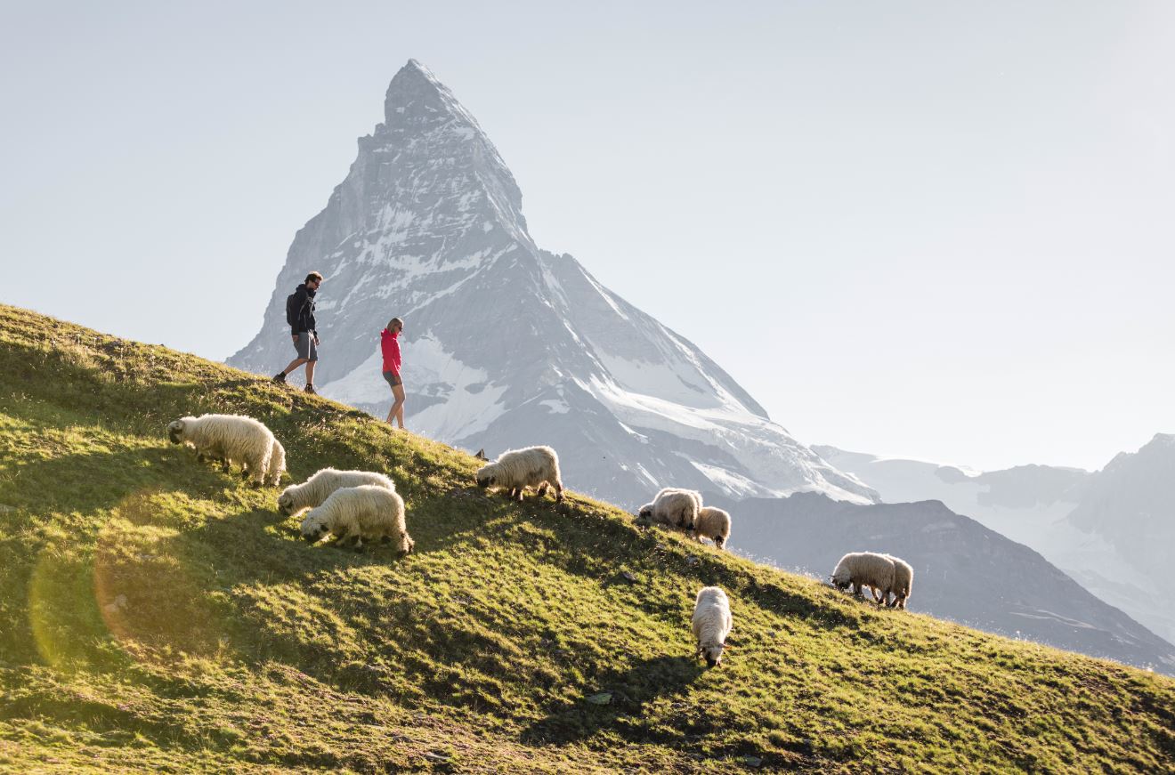 hiking in Zermatt, hiking holidays Zermatt, walking holidays Zermatt, hiking in the Alps 