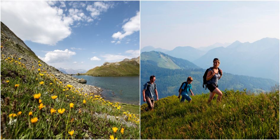 Spring in the Alps, apline flowers, hiking, Autumn in the Alps, alpine weather