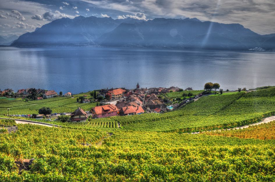 Vineyards on Lake Geneva - Luxury Summer Holiday in Morzine