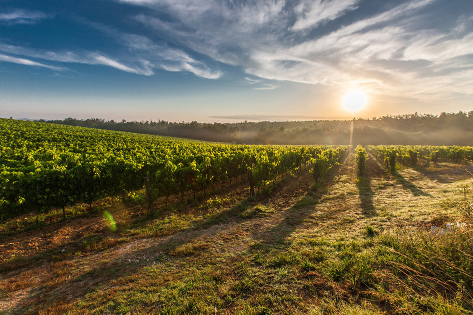 wine region, driving to the Alps, extend your stay