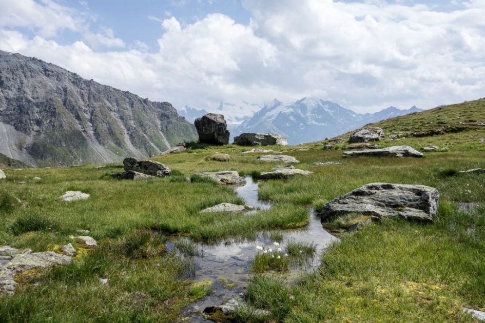 Verbier. Credit: Verbier St Bernard Verbier in the summer, summer holidays in Verbier, Verbier summer