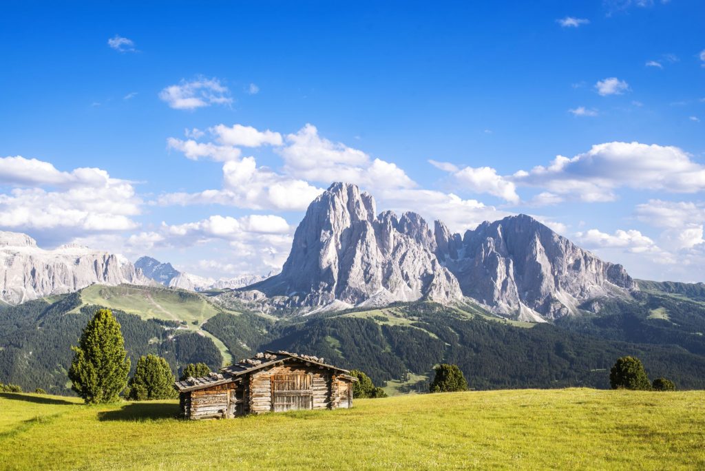 View of Sassolungo in the Dolomites in summer