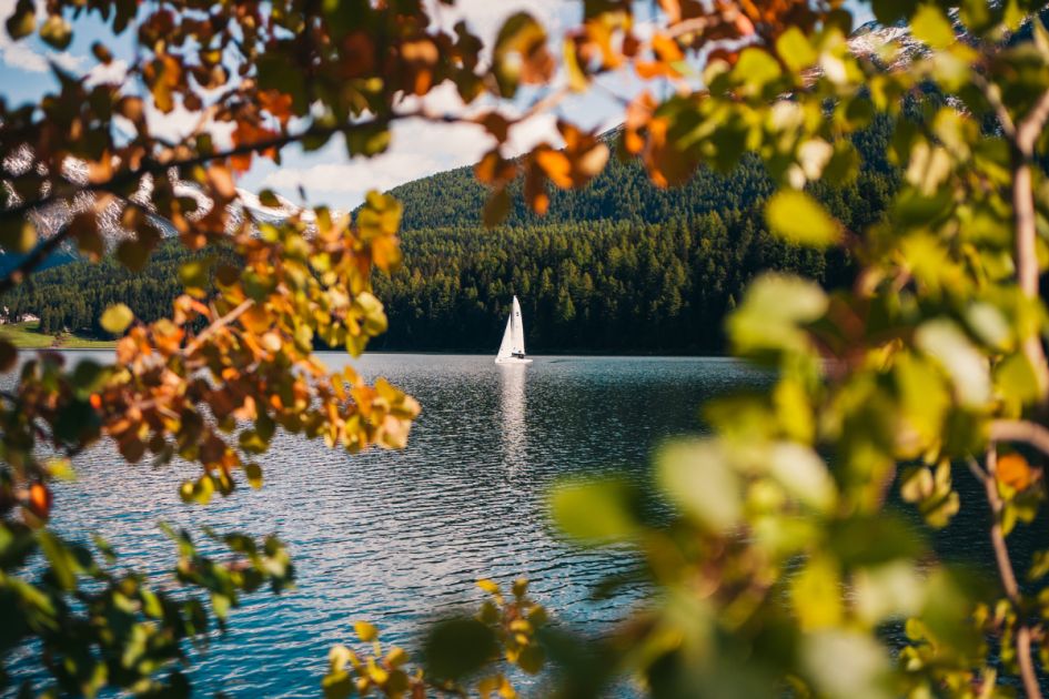 This picture shows a boat in the distance on St Moritz lake, framed perfectly by close, blurred autumn leaves.