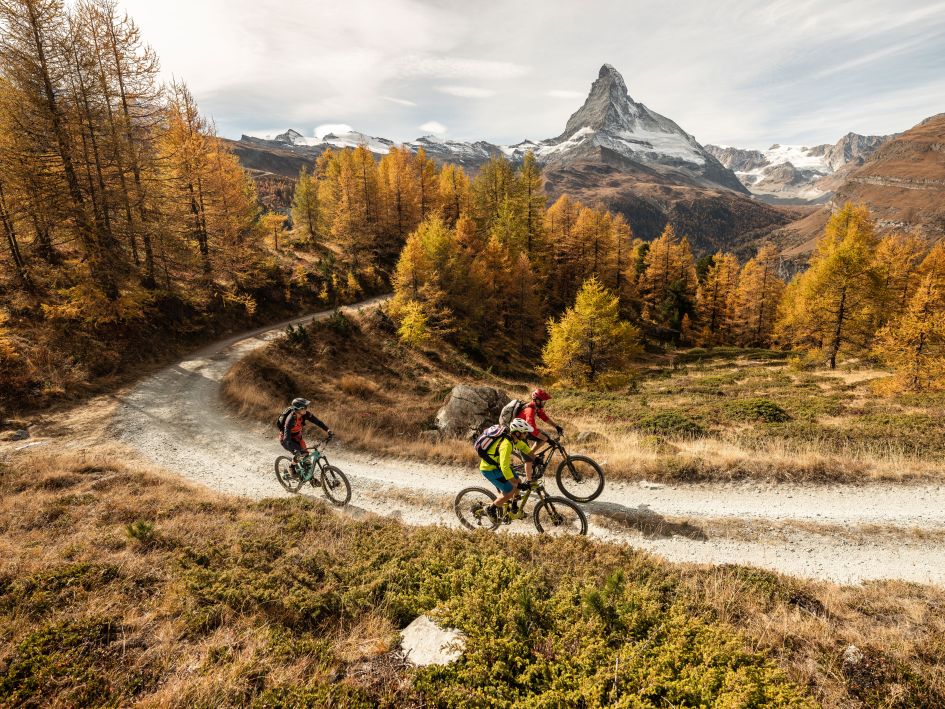 Mountain bikers exploring the Swiss Alps in autumn, in Zermatt, with the iconic Matterhorn mountain standing tall in the background amongst golden leaved trees.