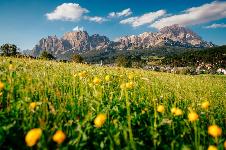 Luxury summer holiday in Cortina.