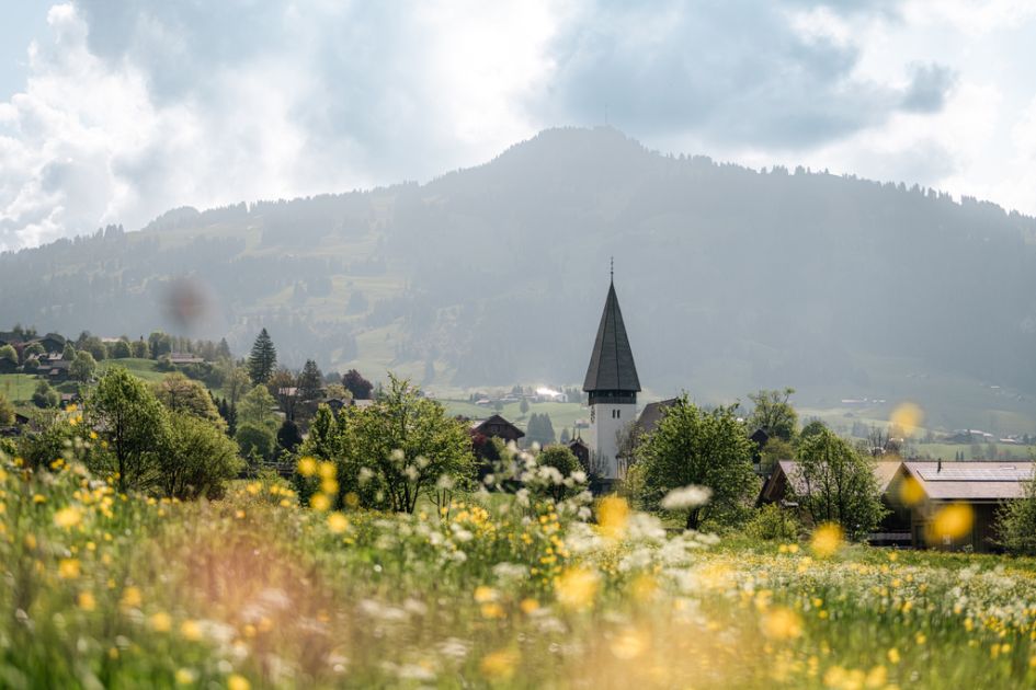 A picture showing the Saanen Church in Gstaad in Summer, beyond a field of wildflowers. An example of the culture of Gstaad and of the beauty of the Swiss Alps in the Summer.