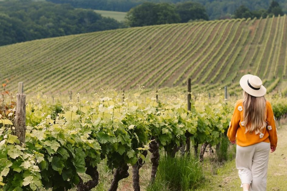 Vignobles en Scène. Credit: Brock ! Betty - CTRL Occitanie (via vignobles_en_scene Instagram profile) Woman strolling around a vineyard in France.